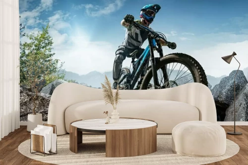 Visualisatie van het product