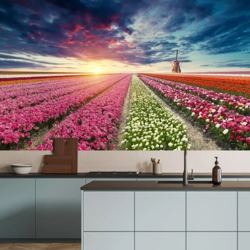 Fotobehang Zonsondergang boven een tulpenveld in Nederland