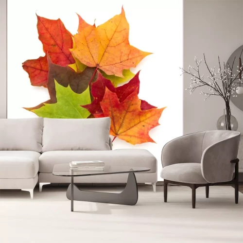 Sticker kleurrijke herfst esdoornblad geïsoleerd op een witte achtergrond