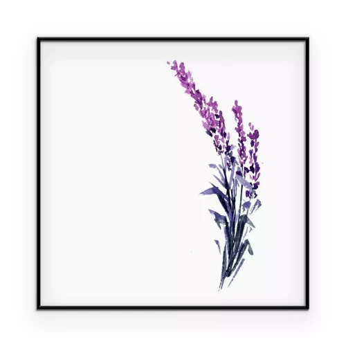 Poster Een takje lavendel geschilderd met waterverf.