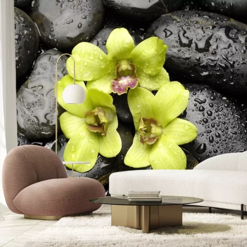 Sticker Groene orchidee en zen stenen met water druppel