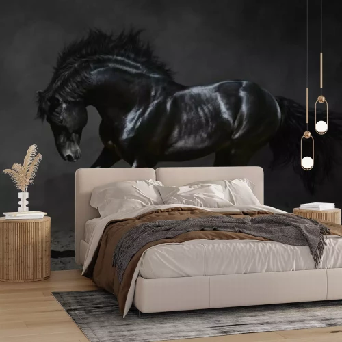 Fotobehang Galopperend zwart paard