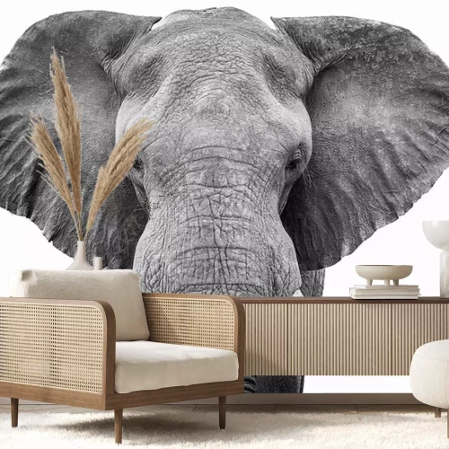 Sticker Zwart-wit tekening van een wandelende olifant