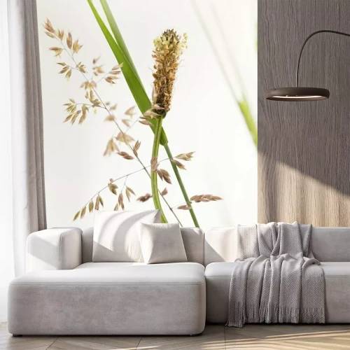 Fotobehang De natuur als grassen