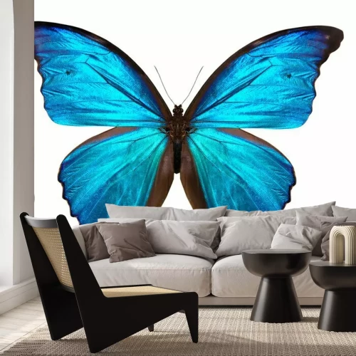 Fotobehang Tropische vlinder in blauwe tinten