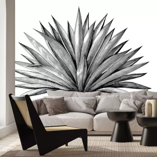 Sticker Afbeeldingen die een zich verspreidende agave tonen