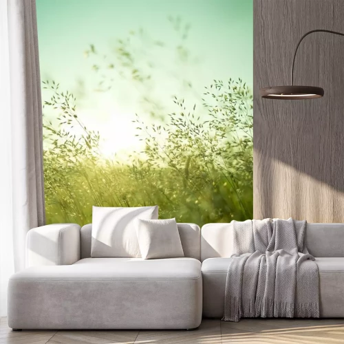 Fotobehang Slanke grassprieten die in de wind wiegen