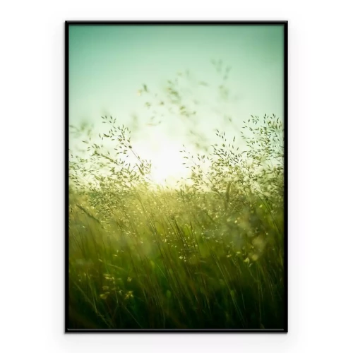 Poster Slanke grassprieten die in de wind wiegen