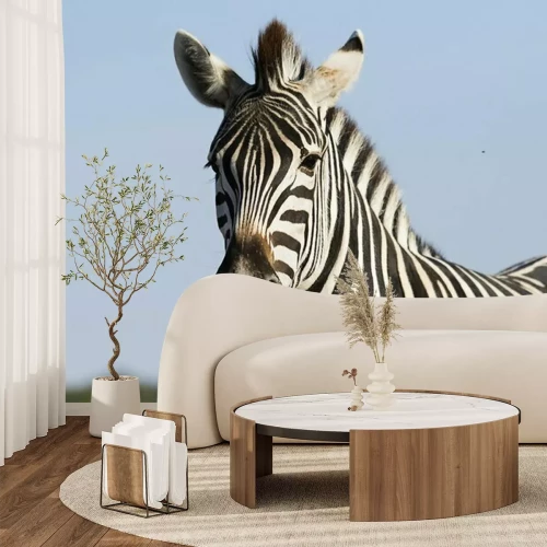 Fotobehang Portret van leuke zebra op een hemelachtergrond