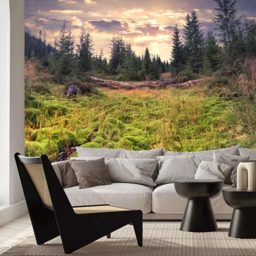 Fotobehang Groen landschap in de zomer