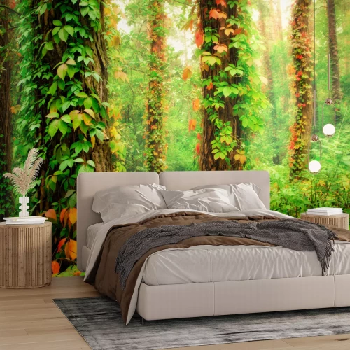 Fotobehang Bomen bedekt met planten