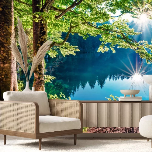 Fotobehang Natuur van een bos in zonnestralen