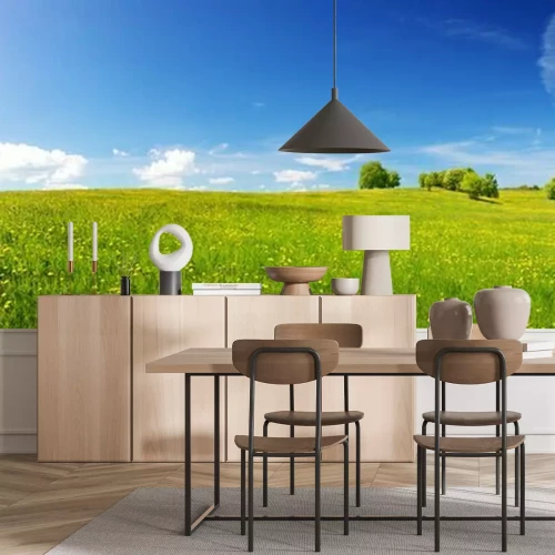 Fotobehang Gras op een idyllisch landschap