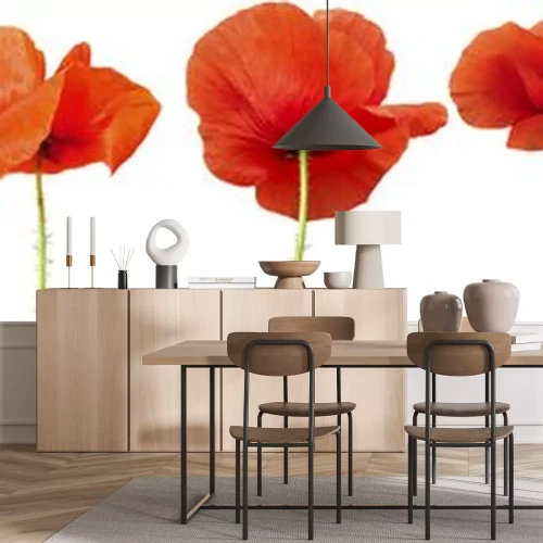 Sticker Rode bloemen op een rij gerangschikt