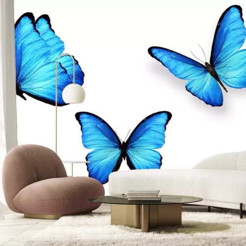Sticker Drie vlinders met lichtblauwe vleugels