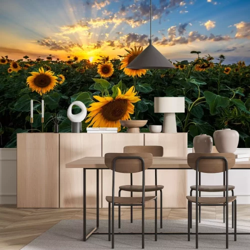 Sticker Zonnebloemen en zonsondergang