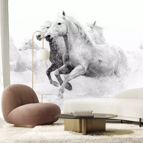 Fotobehang Camargue Paarden die door water rennen