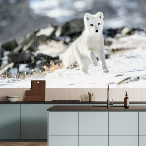 Fotobehang Poolvos in de winter