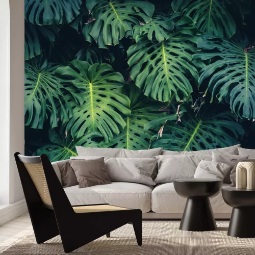 Fotobehang Monstera in de jungle