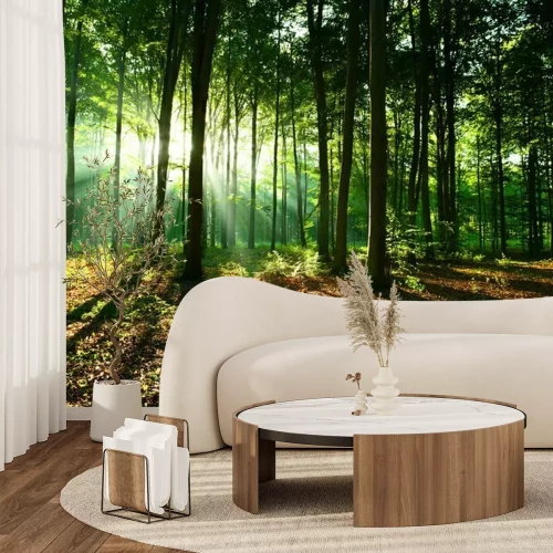 Fotobehang Zonnestralen schijnen door de takken van de bomen