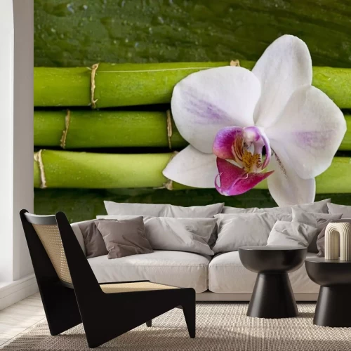 Sticker bloem op groen bamboe