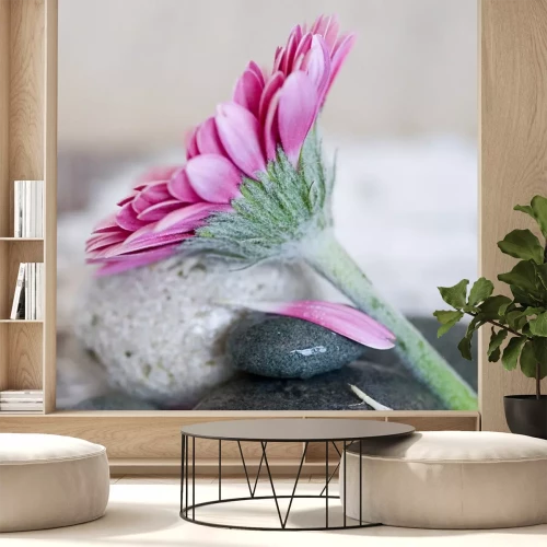 Sticker Grote bloem op stenen