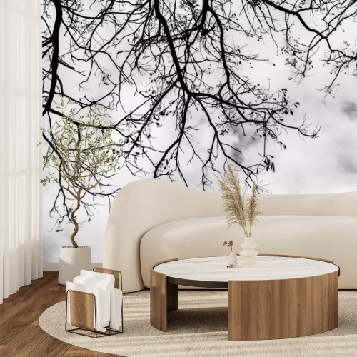 Fotobehang Zwart-witte takken