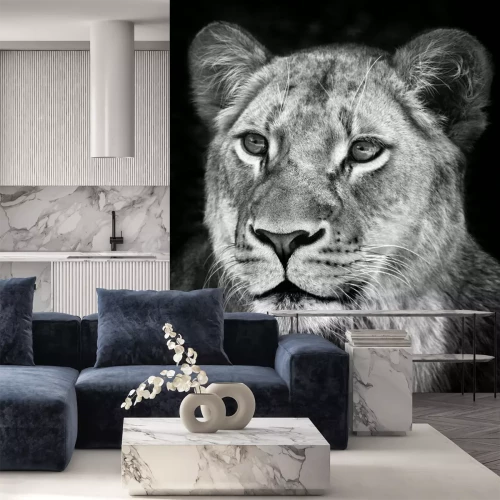 Fotobehang Portret van een leeuwin in zwart-wit