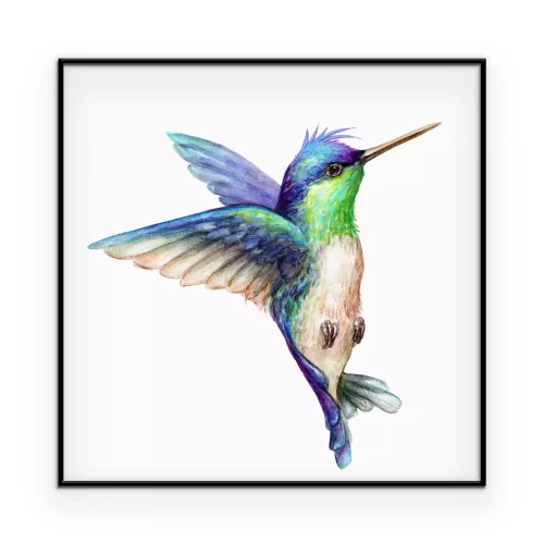 Poster Afbeelding van een kleurrijke vogel in vlucht.