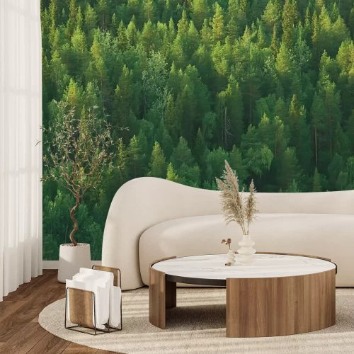 Fotobehang Groene taigabomen