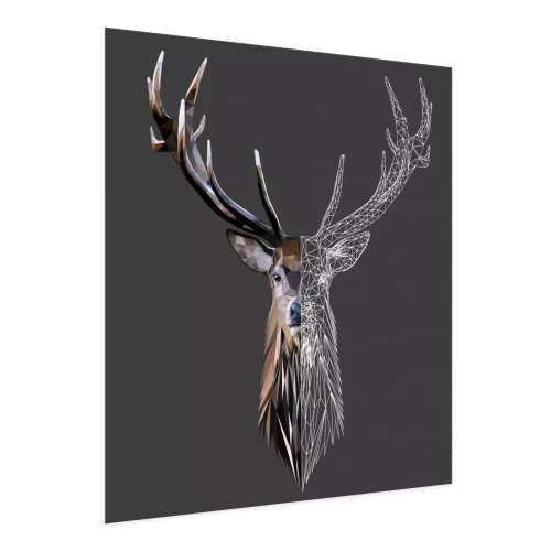 Visualisatie van het product