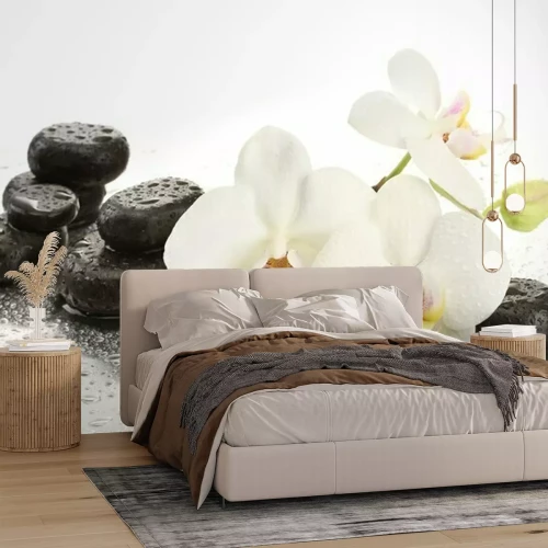 Sticker Orchideeën en gladde stenen besprenkeld met water