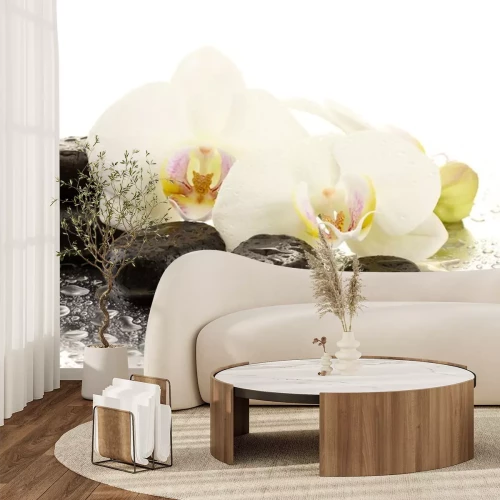Sticker Spa stenen en orchidee bloemen, geïsoleerd op wit.