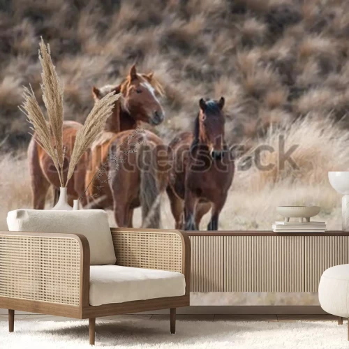 Fotobehang Bruine paarden op een achtergrond van gras