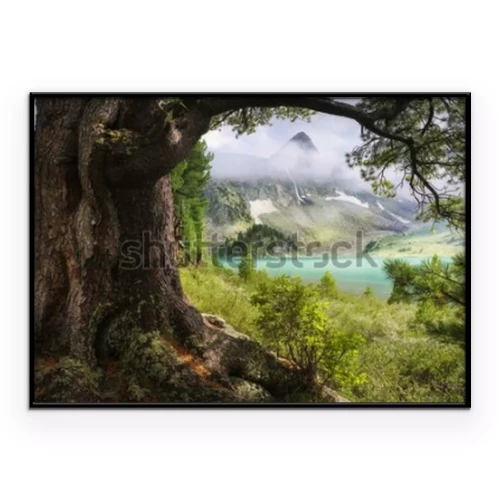 Visualisatie van het product