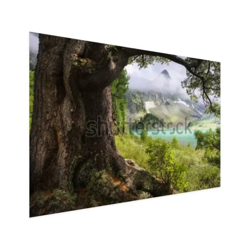 Visualisatie van het product