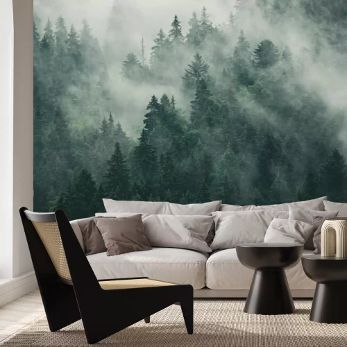 Fotobehang Donker naaldbos in de mist