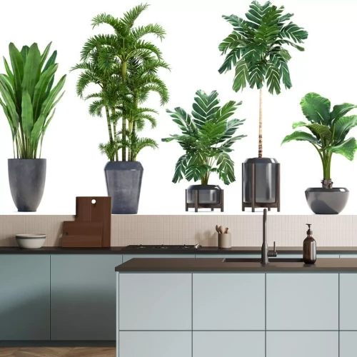 Sticker Collectie Exotische planten in een pot op een witte achtergrond