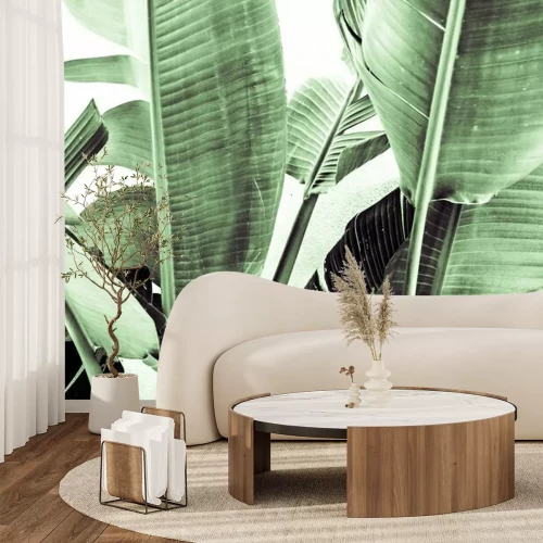 Fotobehang Bananenbladeren