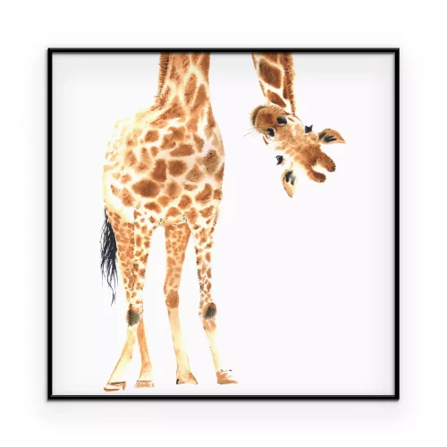 Poster Een afbeelding van een giraffe op een witte achtergrond in aquarel-stijl.