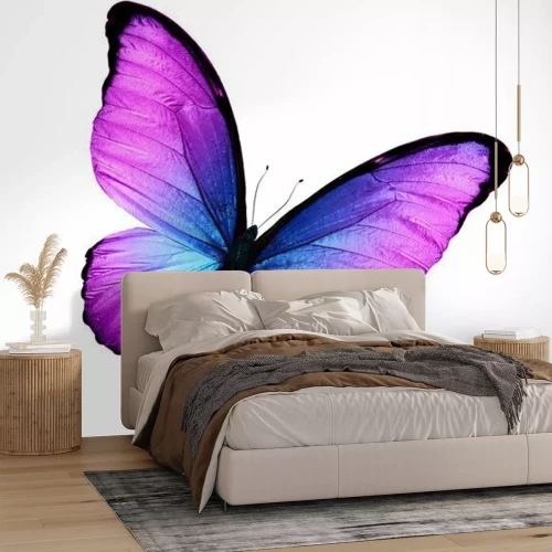 Sticker Een zwarte vlinder met paarsblauwe vleugels