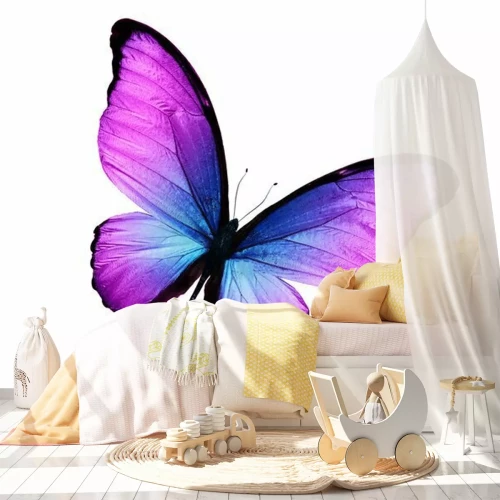 Sticker Een zwarte vlinder met paarsblauwe vleugels