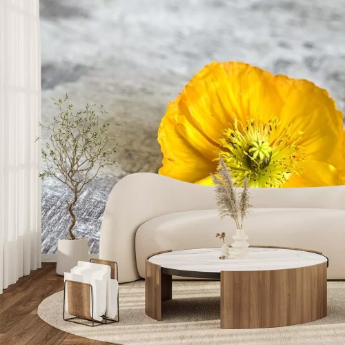 Sticker Gele bloem op een oud hout