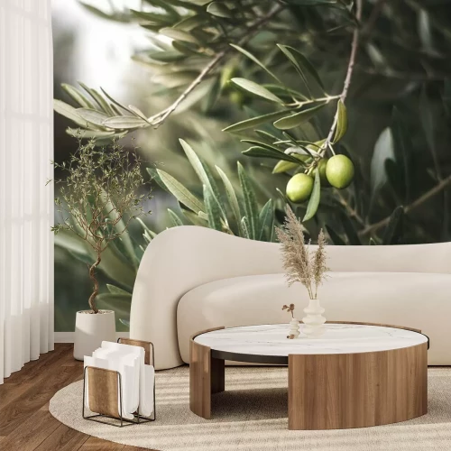 Fotobehang Groene olijfboom in Marokko