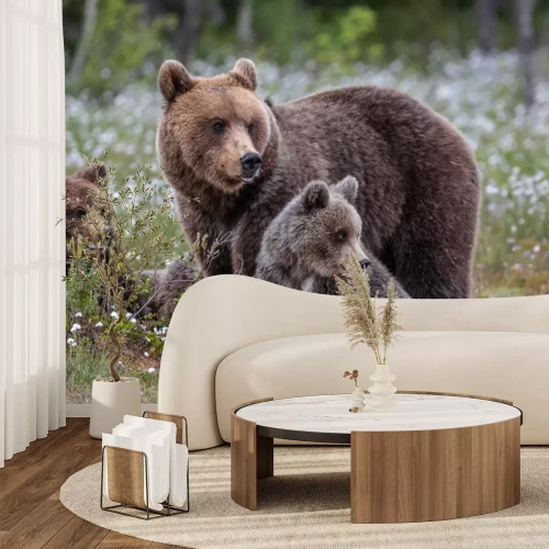 Fotobehang Beren in een bloemenweide