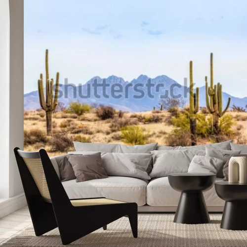 Fotobehang Woestijn en cactussen in Arizona