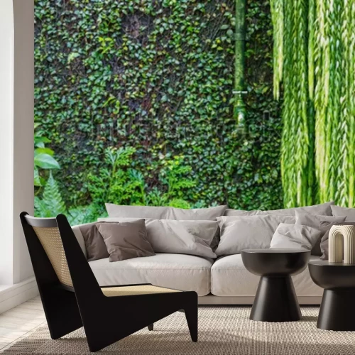 Fotobehang Muur met klimop in een park