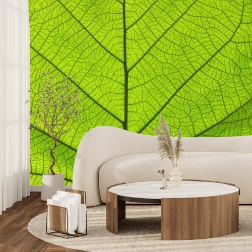 Sticker Extreme dichte omhooggaande textuur van groene bladaders