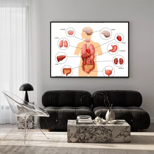 Visualisatie van het product