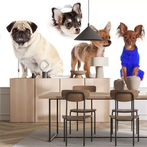 Sticker Groep puppies op een witte achtergrond. Groep honden